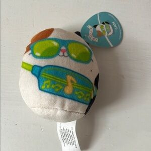 Squishmallow Happy Meal Cam